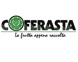Coferasta - Ferrara